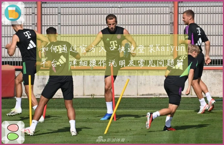 如何通过官方入口快速登录Kaiyun平台：详细操作说明及常见问题解答