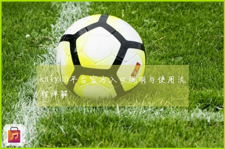 kaiyun平台官方入口说明与使用流程详解