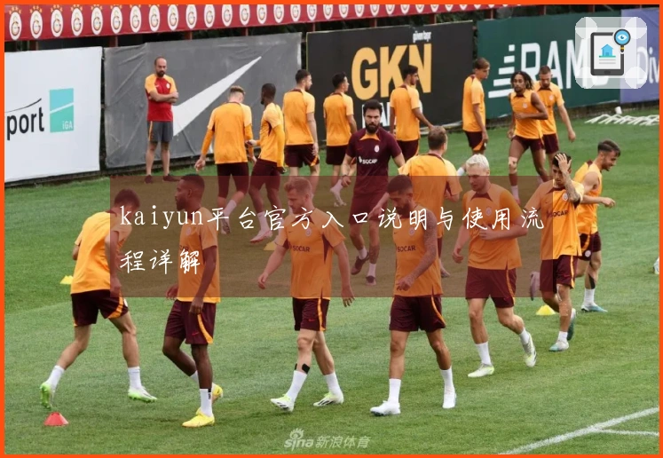 kaiyun平台官方入口说明与使用流程详解